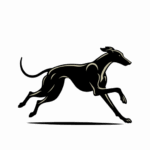 Yorkshire Chauffeurs - Award-Winning Chauffeurs for Events & Executive Travel | Yorkshire & UK