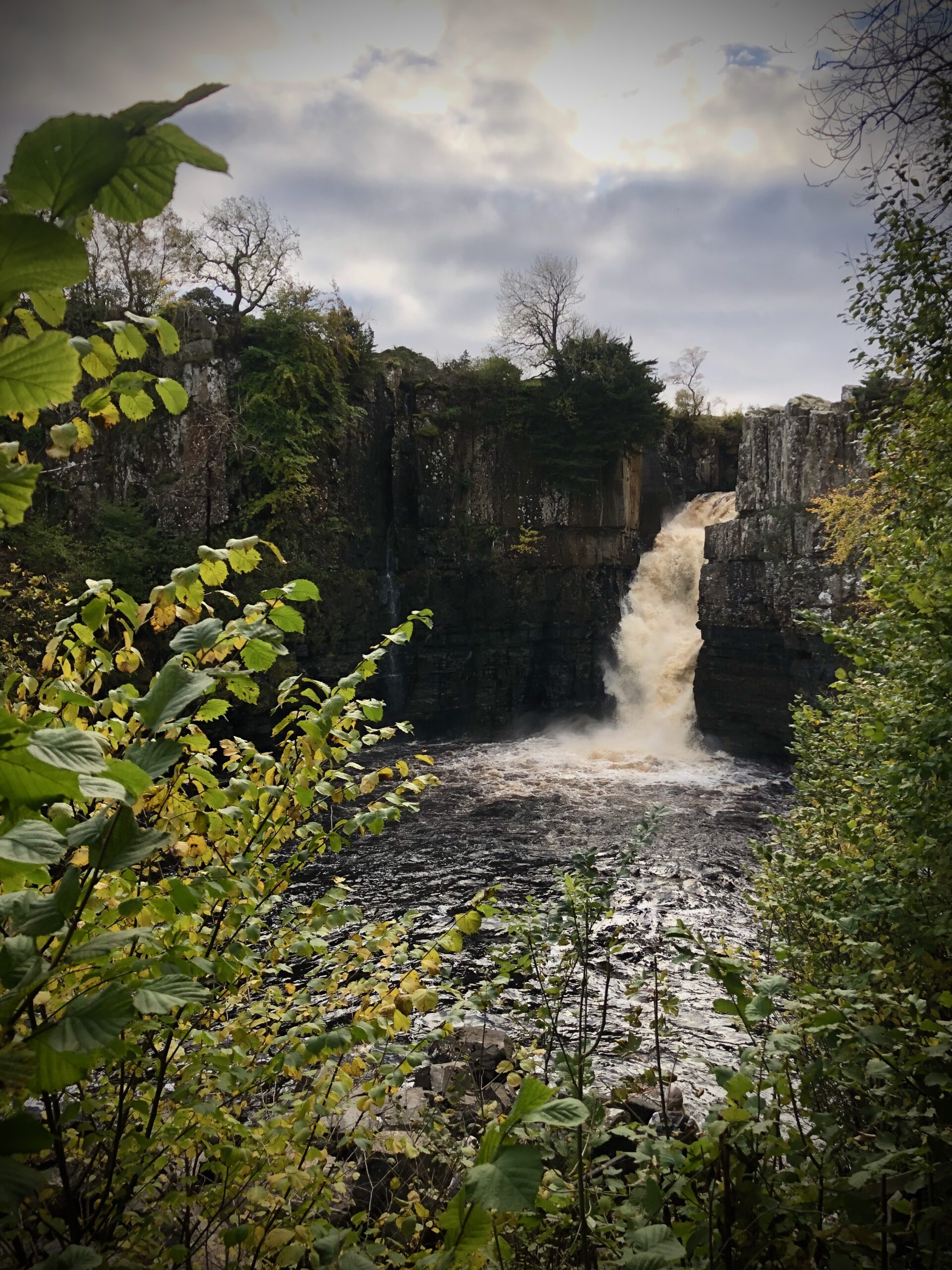 YORKSHIRE TOURS